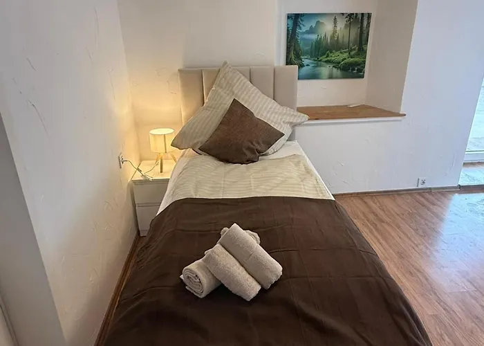 Moeblierte Apartment Mainz